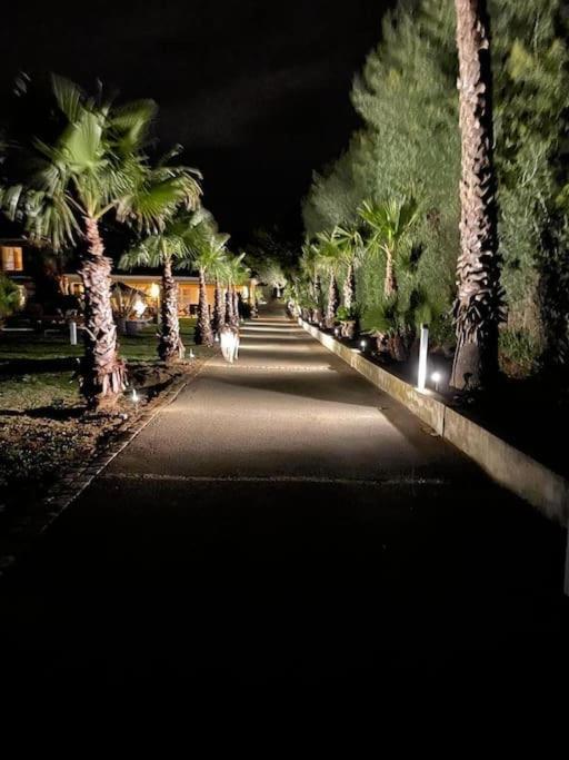 Grande Villa St-Tropez Area Avec Piscine Chauffee ガッサン エクステリア 写真
